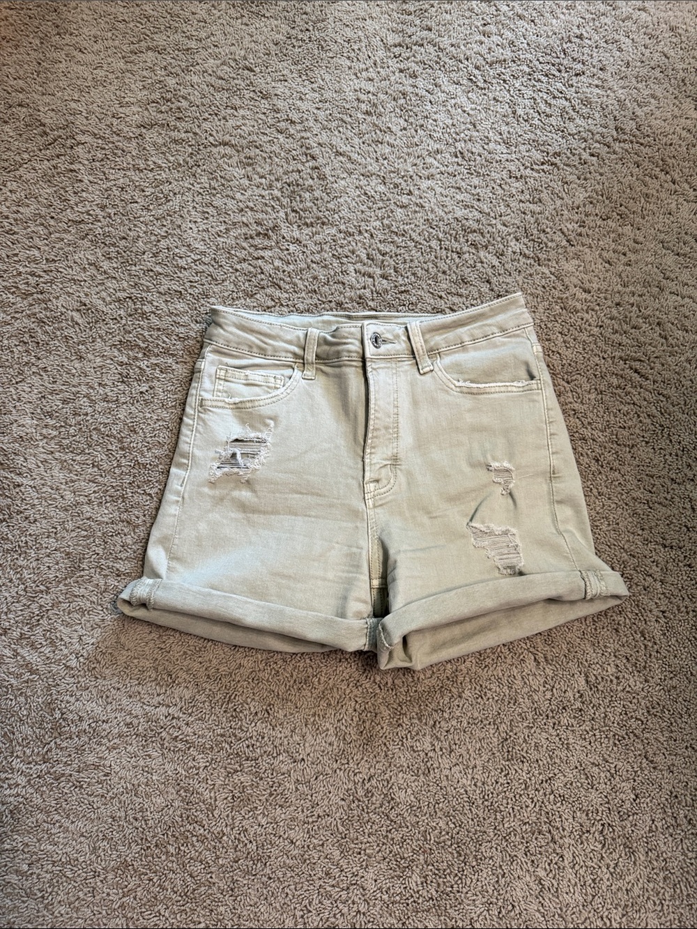 Vervet Light Green Midi Distressed Short